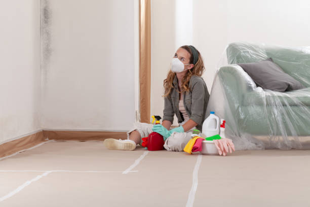 Reliable Mold Remediation contractor in Chelsea, MI by Car Mold Remediation